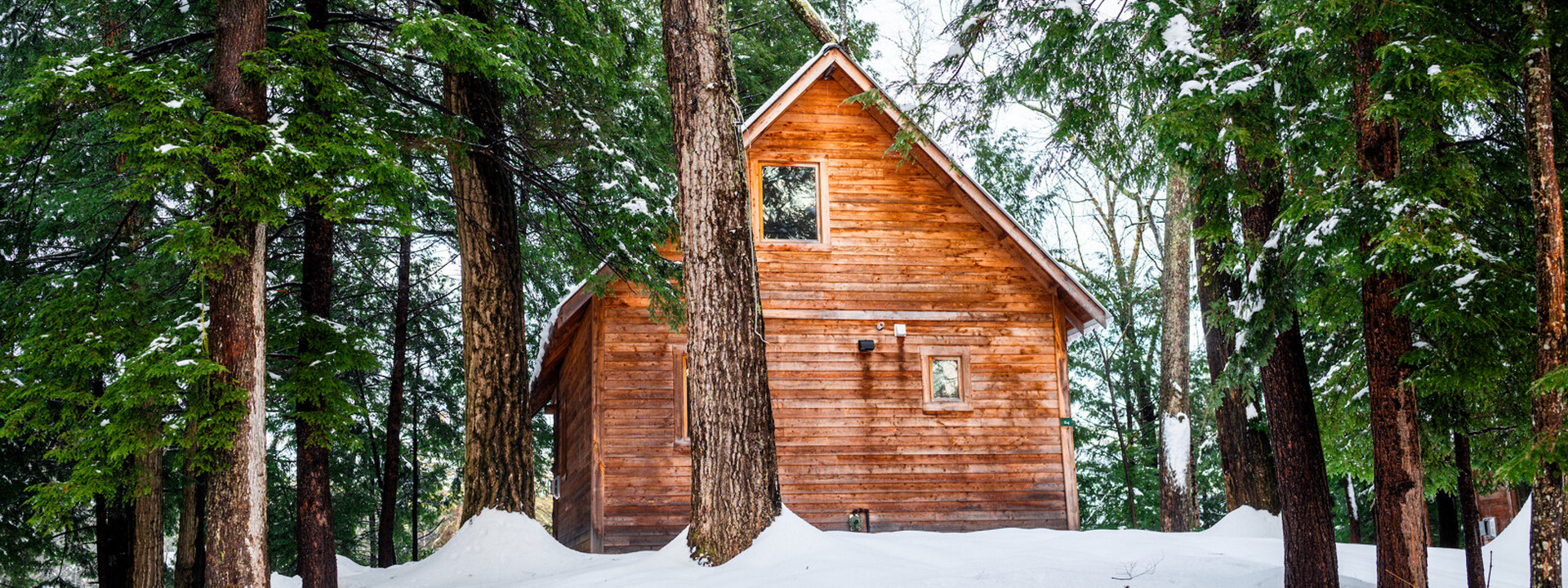 Chalet en bois pour un séjour douillet dans les montagnes blanches